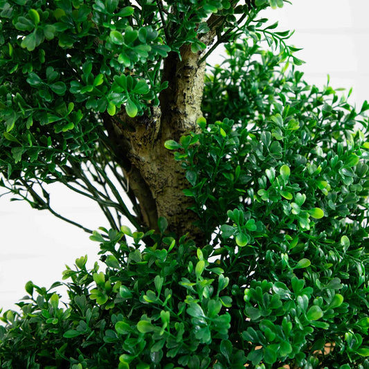 a close up of a tree