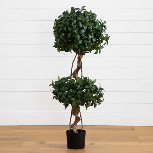 a plant in a pot