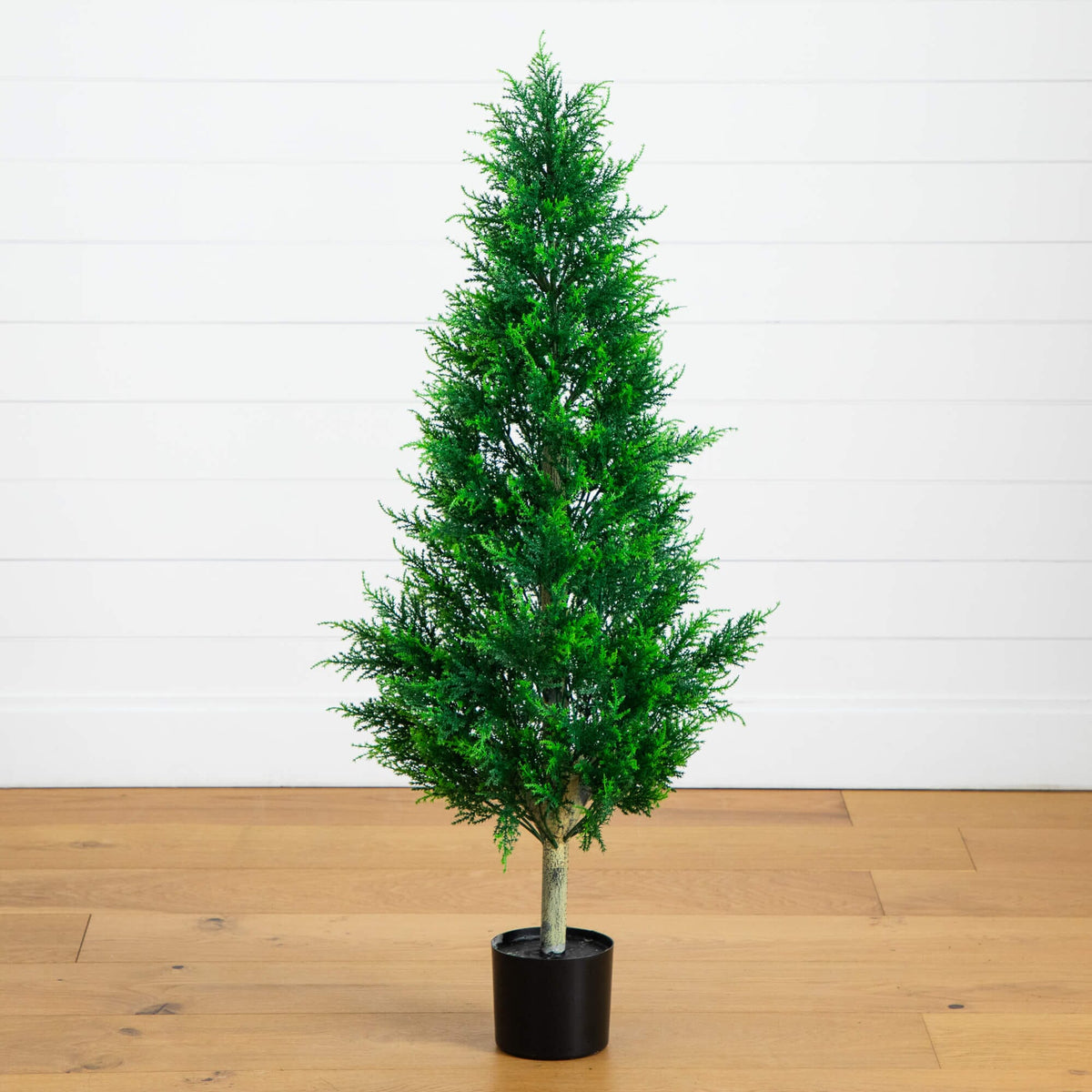 a tree in a pot on a wood floor