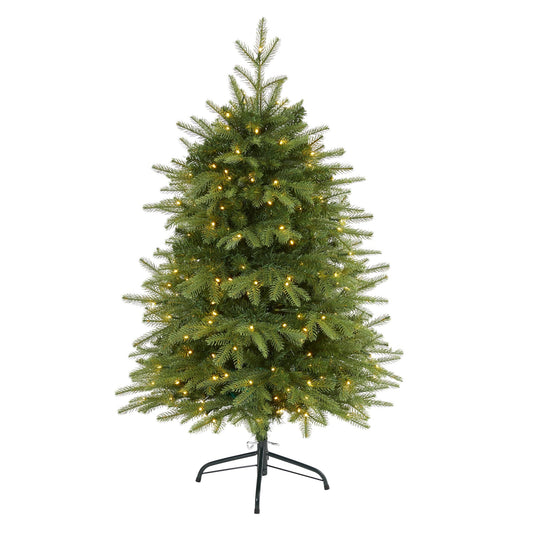 a christmas tree with lights