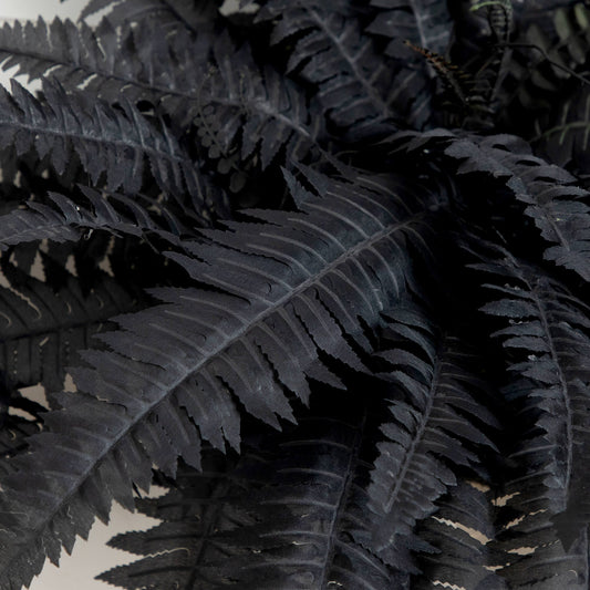 40" Artificial Halloween Black Boston Fern - Set of 2