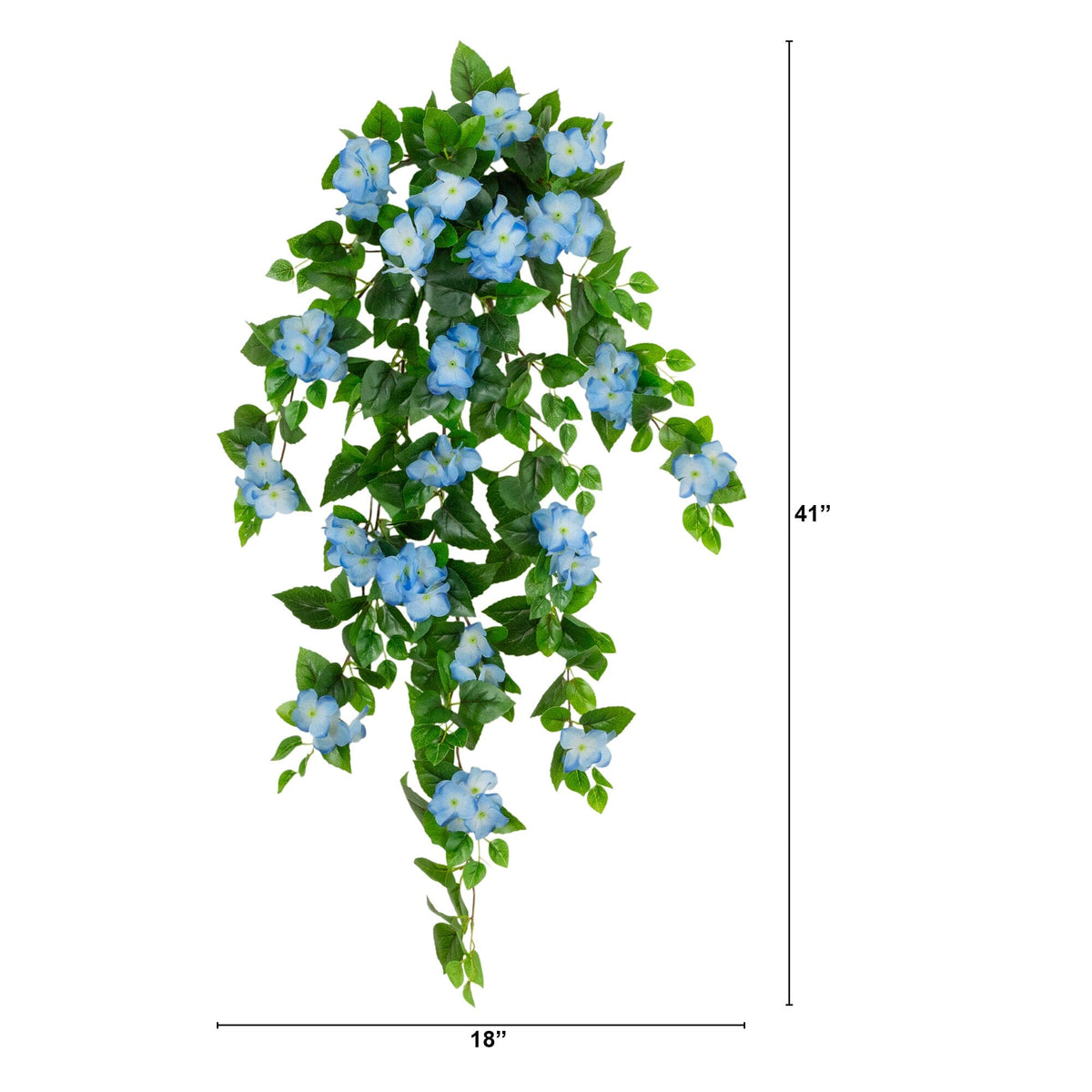 a plant with blue flowers and green leaves