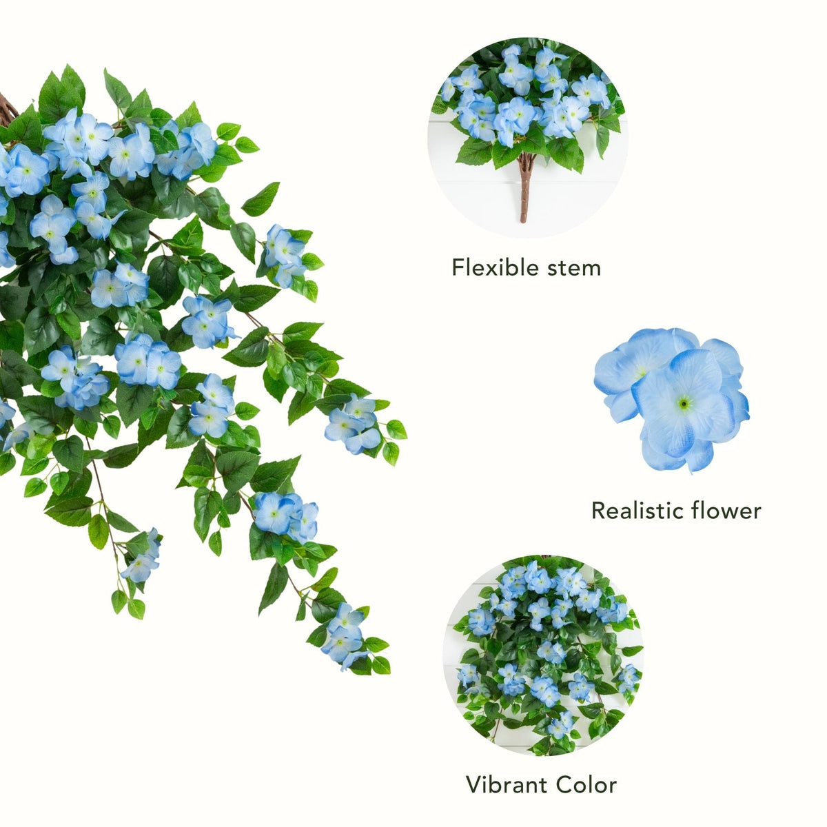 a plant with blue flowers