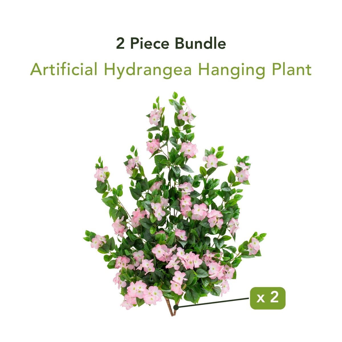 a plant with pink flowers