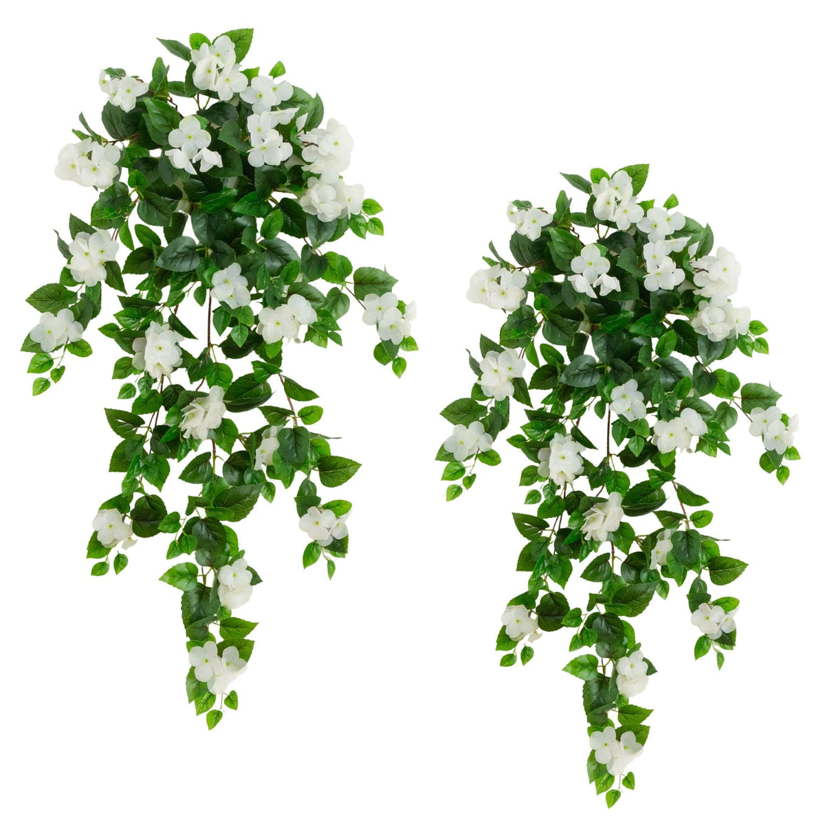 a group of white flowers and green leaves