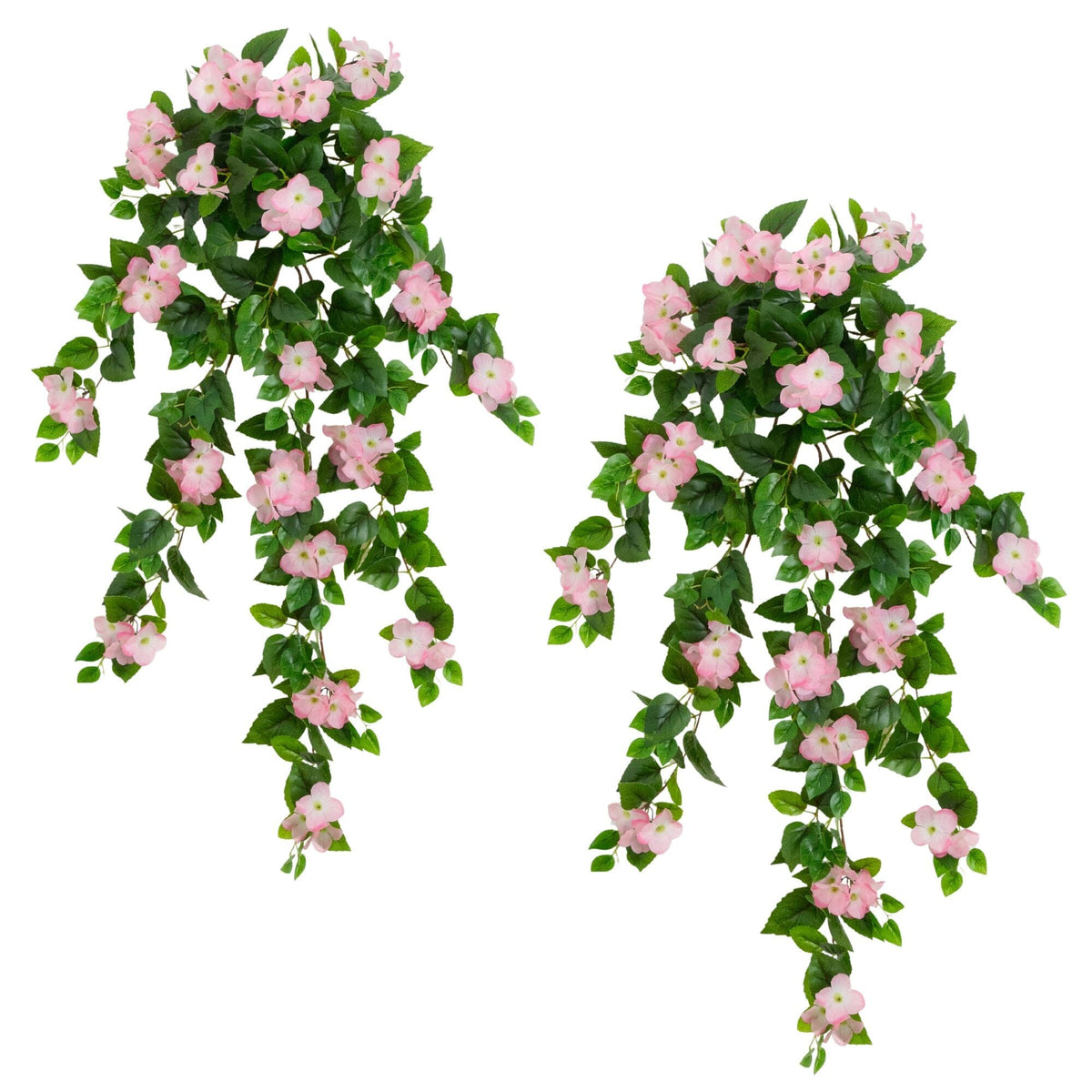 a group of pink flowers and green leaves