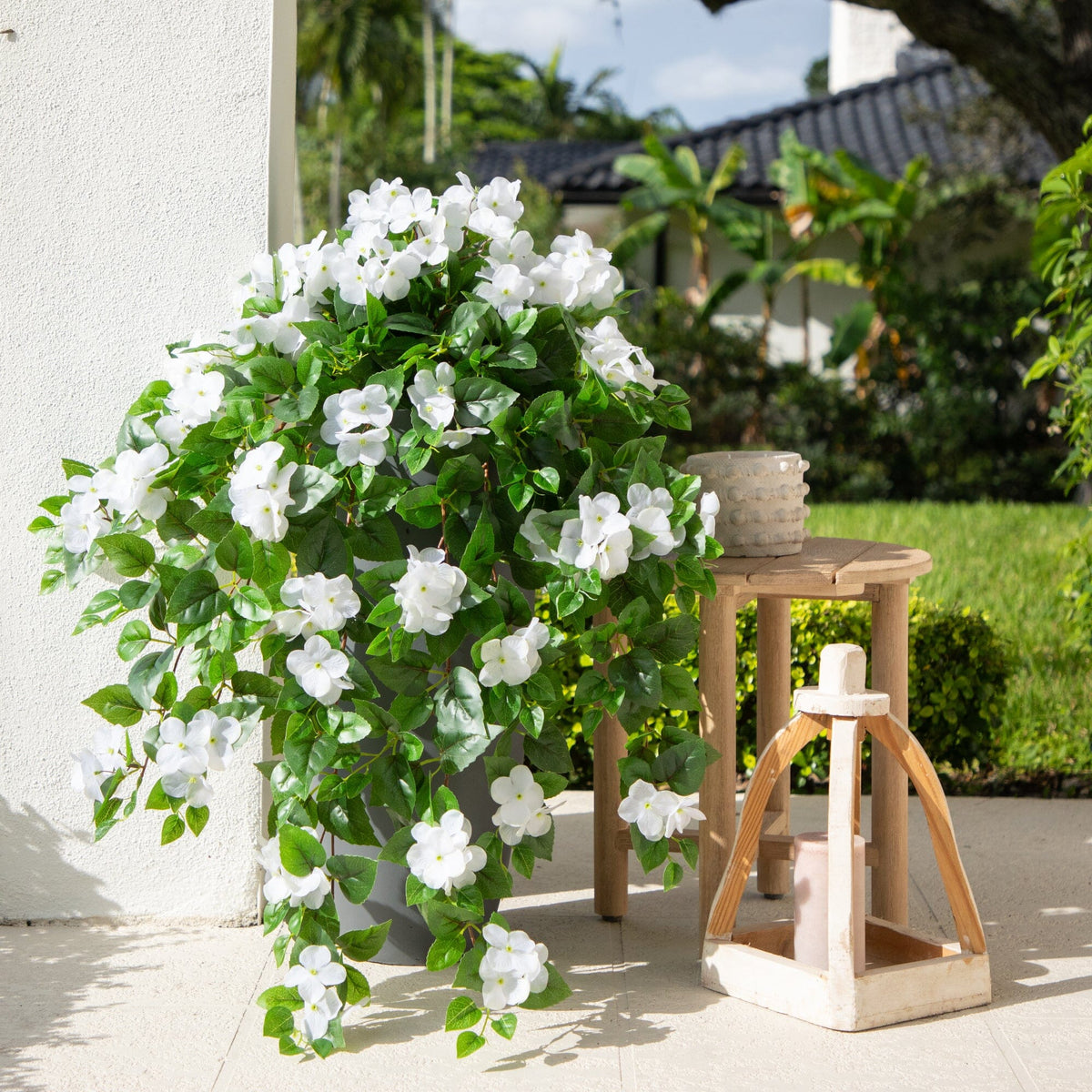 a plant with white flowers and green leaves