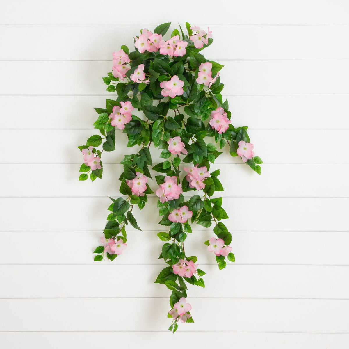 a plant with pink flowers