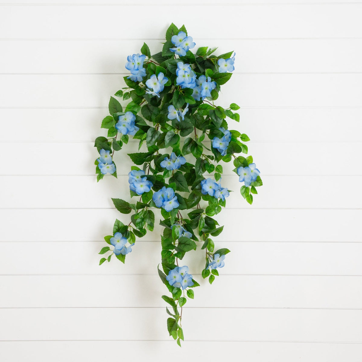 a plant with blue flowers and green leaves