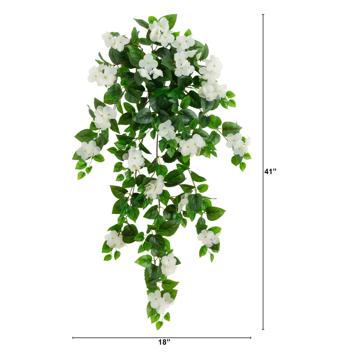 a plant with white flowers and green leaves