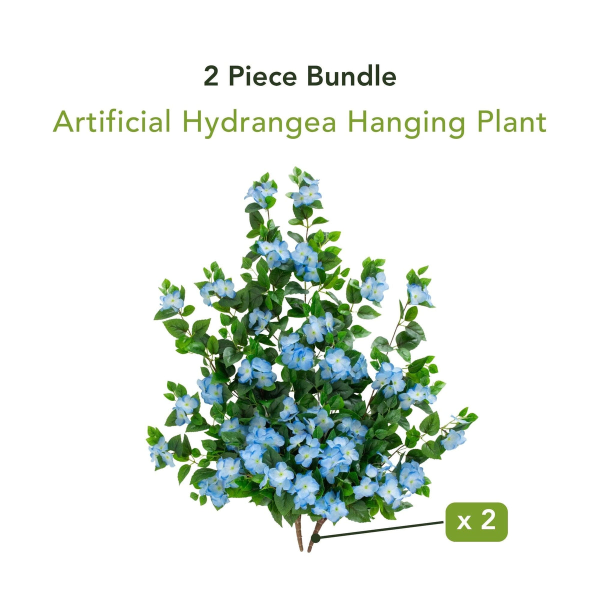 a plant with blue flowers