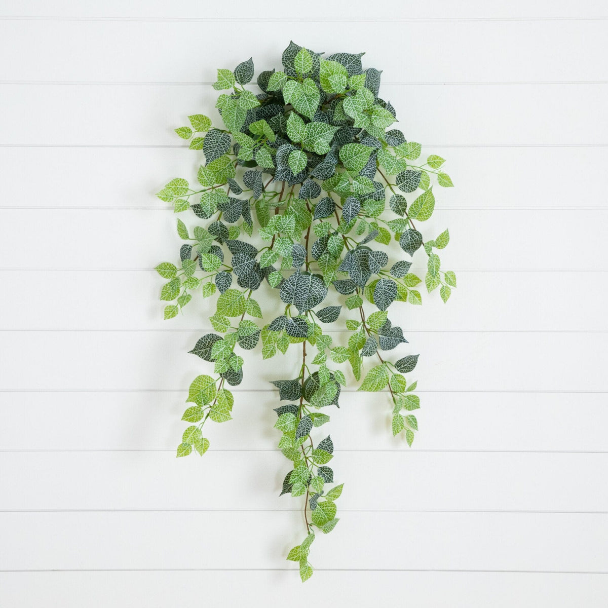 41" UV Resistant Artificial Fittonia Hanging Plant (Indoor/Outdoor) - Set of 3