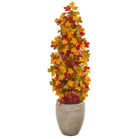 a plant in a pot