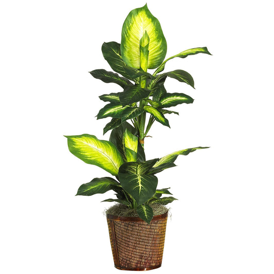 a potted plant with green leaves