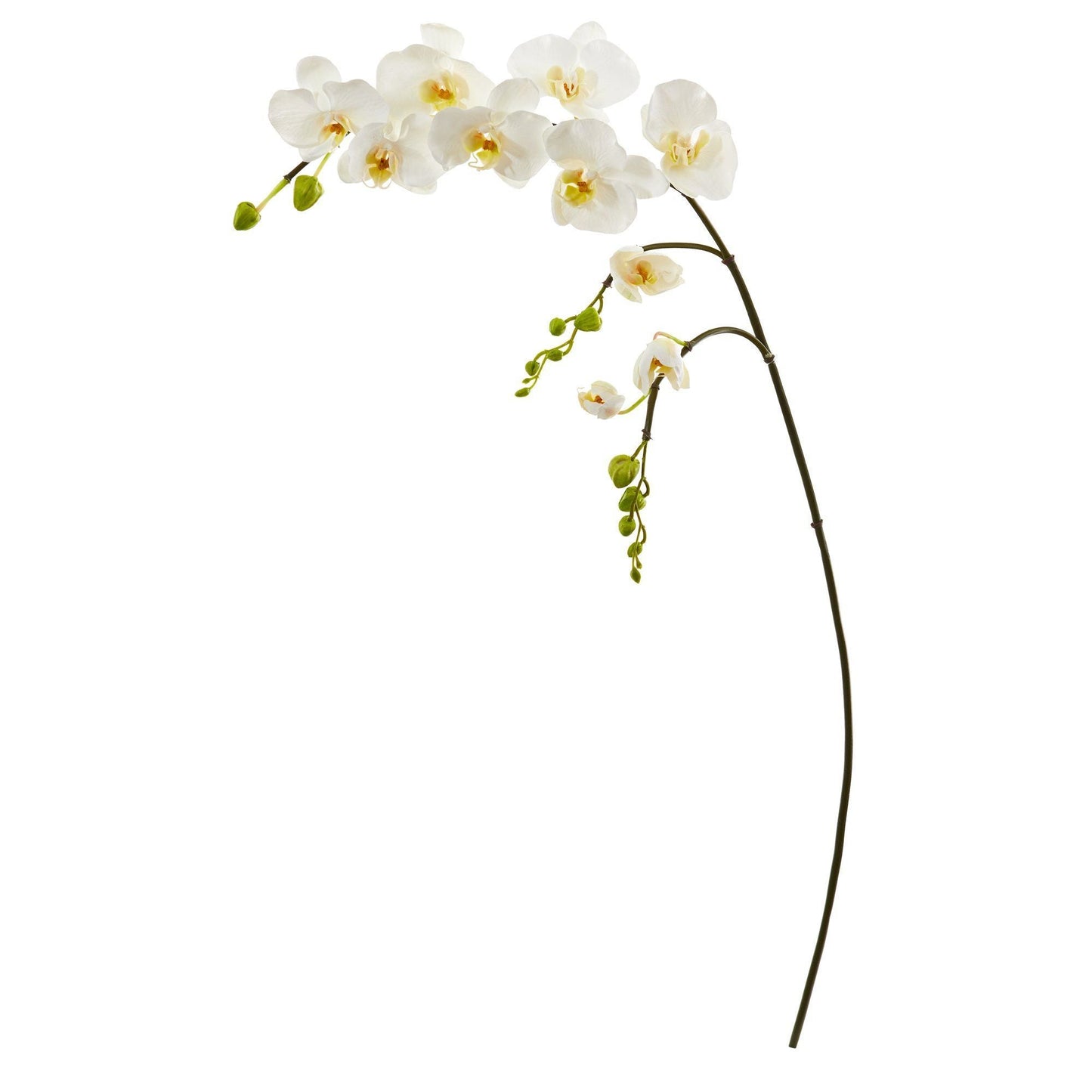 43” Phalaenopsis Orchid Artificial Flower (Set of 6)