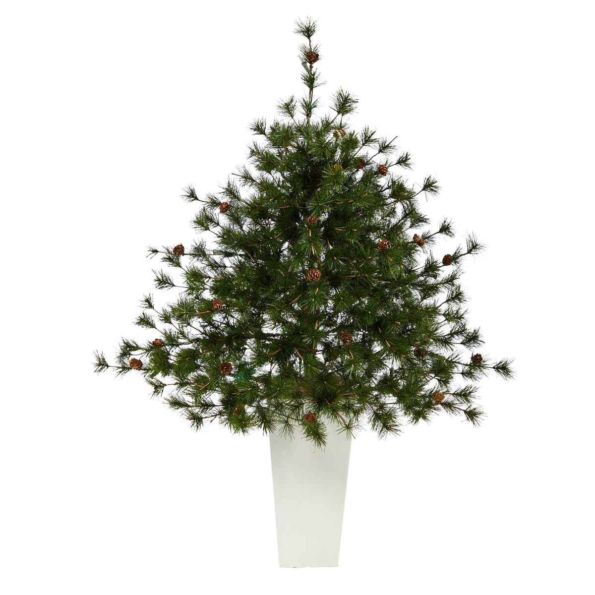 a potted plant with a small tree