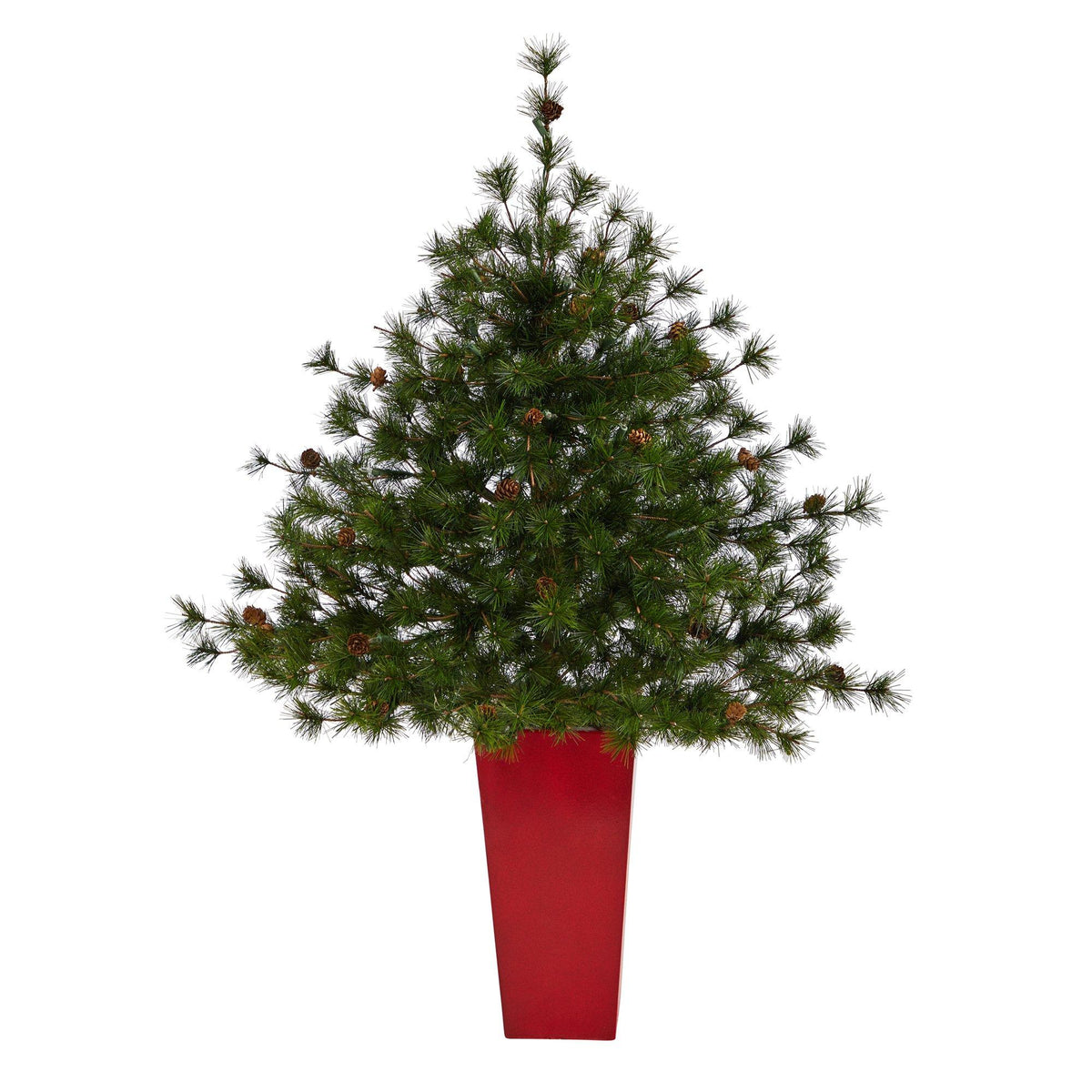 a tree in a red pot
