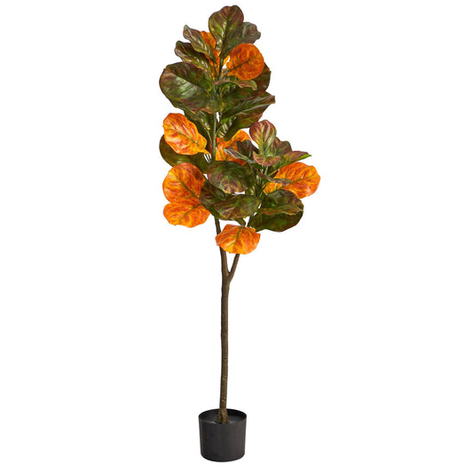 a potted plant with orange and green leaves
