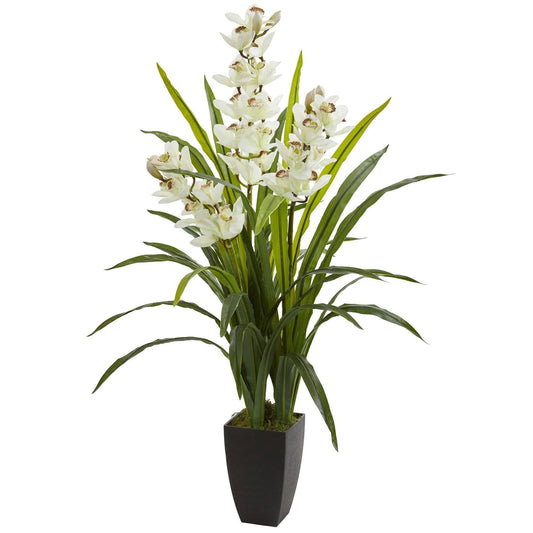 a plant in a pot