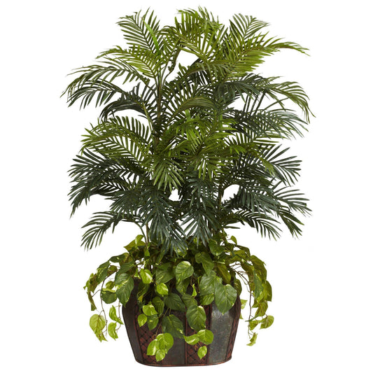 a potted plant with green leaves