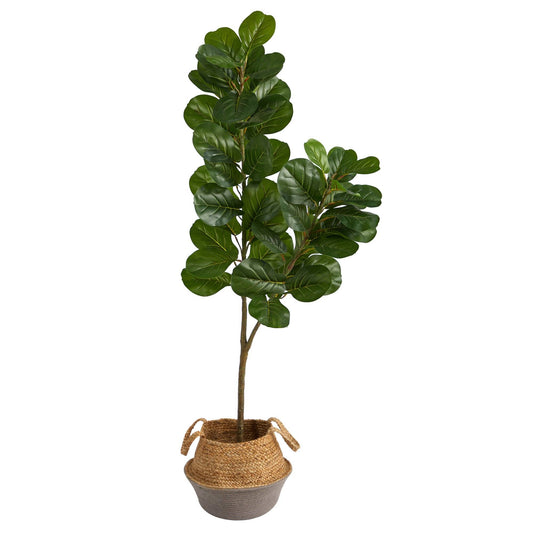 a potted plant with leaves