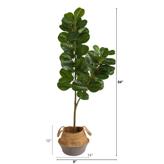 a potted plant with a height of 4 inches