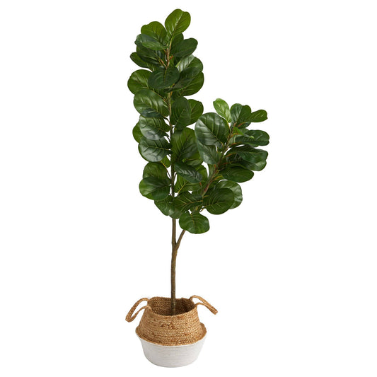a potted plant with leaves