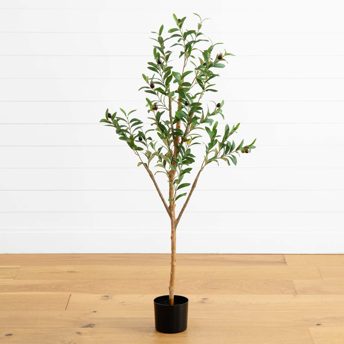 a tree in a pot