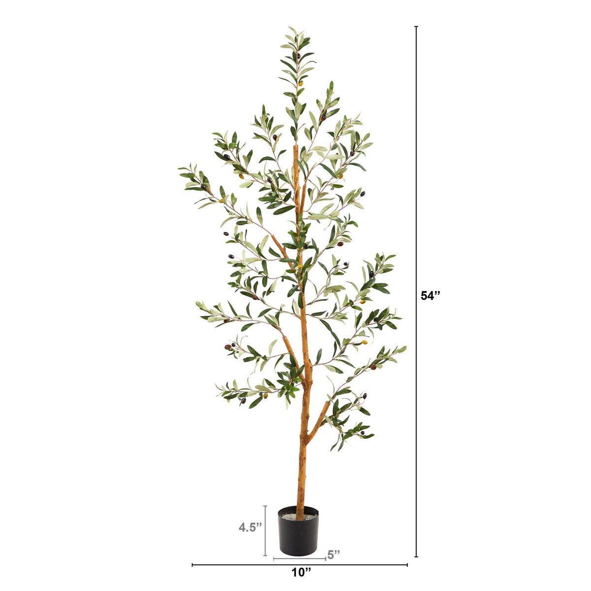 a tall tree in a pot