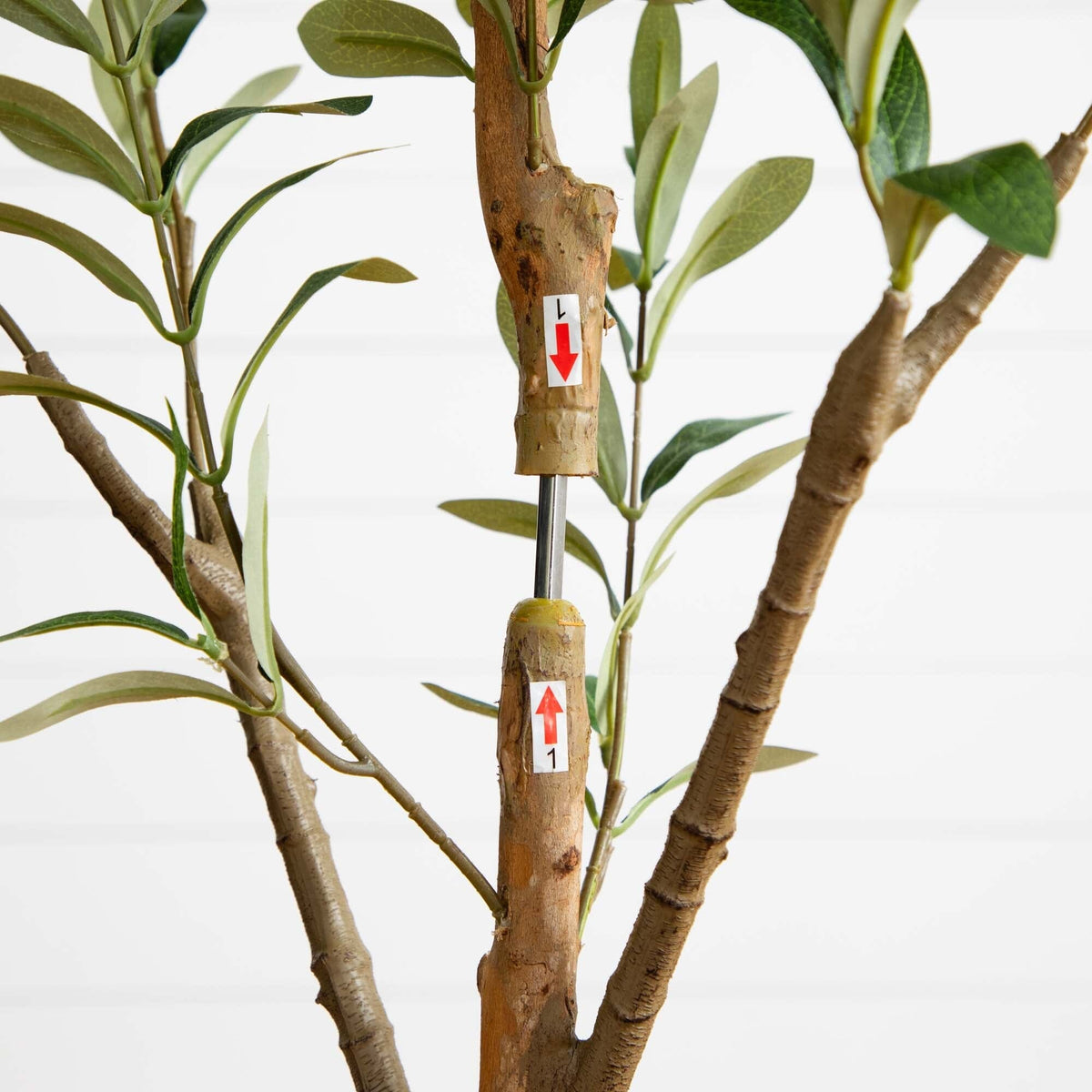 a tree with a sticker attached to it