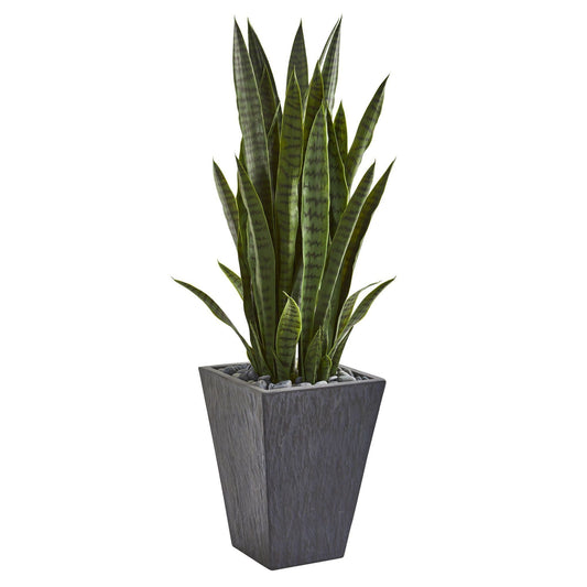 a plant in a pot