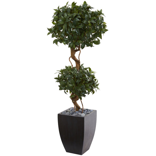 a plant in a pot
