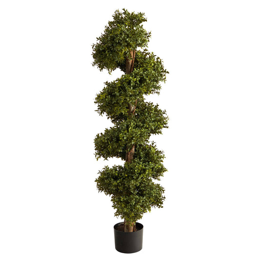 a tree in a pot