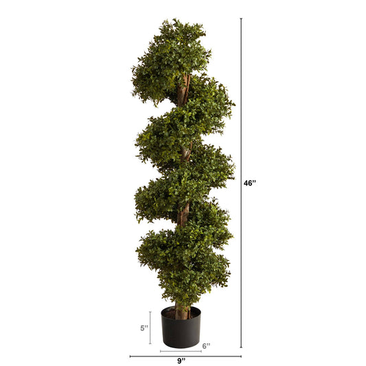 a tall tree in a pot