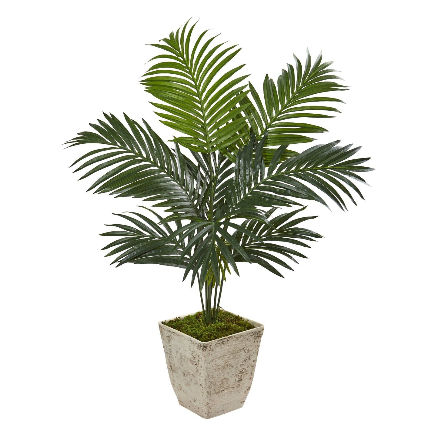 46” Kentia Artificial Palm Tree in Country White Planter