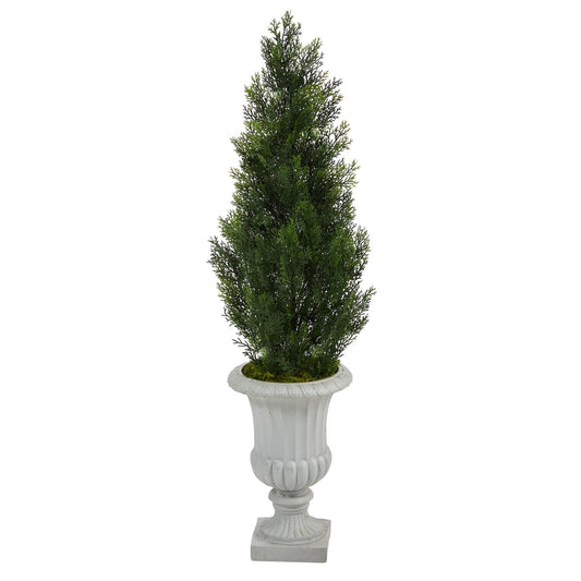 a potted plant in a white pot