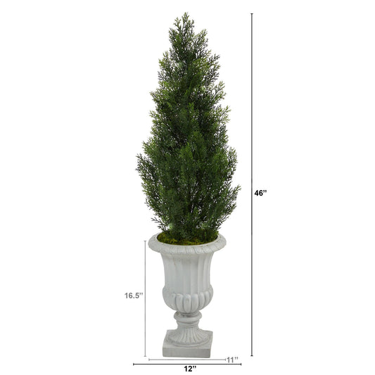 a tall tree in a white pot