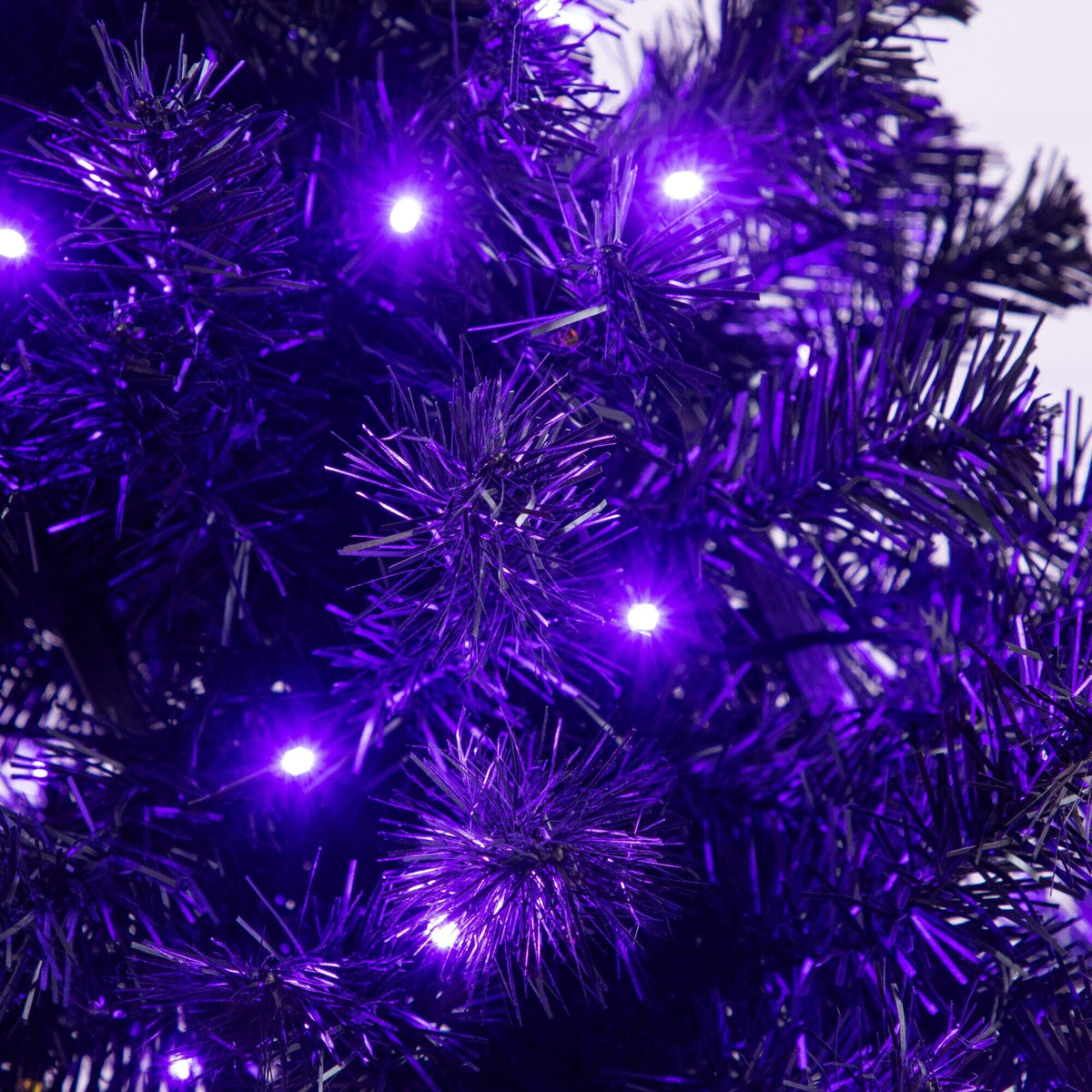 a close up of a tree