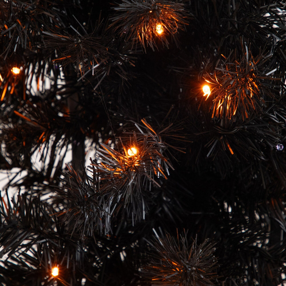 a close up of a tree