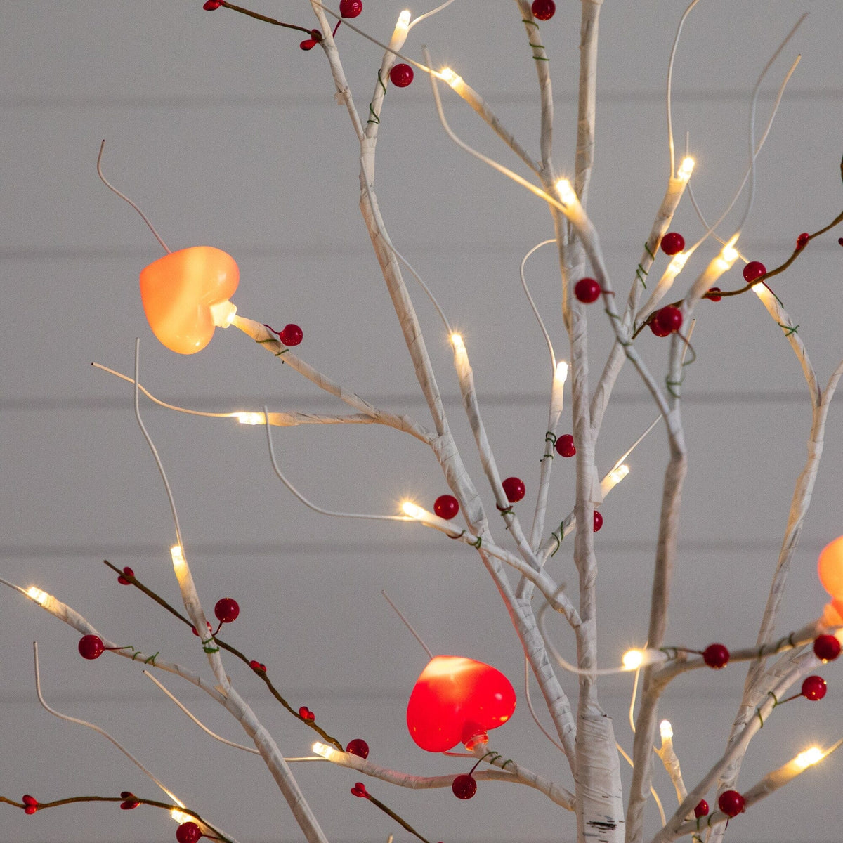 a tree with lights and berries