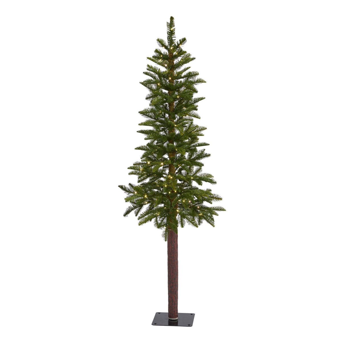 a tree with lights on it