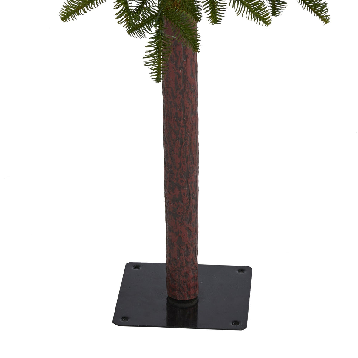 a tree trunk with a base