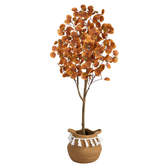 a tree in a pot