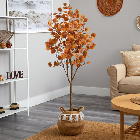 a plant in a pot in a room