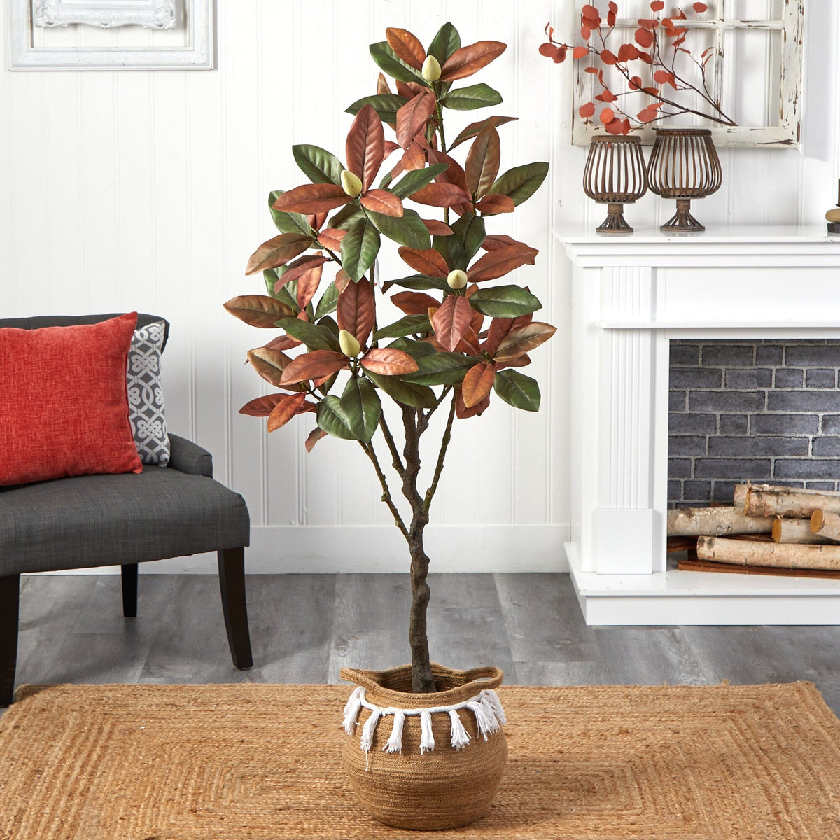 a plant in a pot in a room