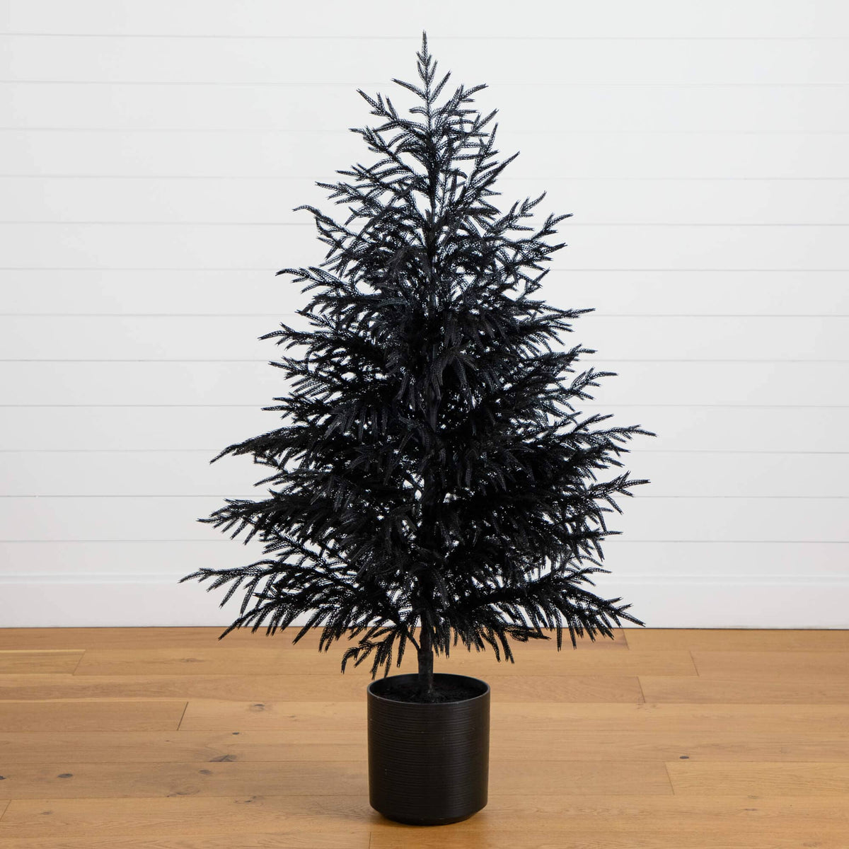 a black tree in a pot