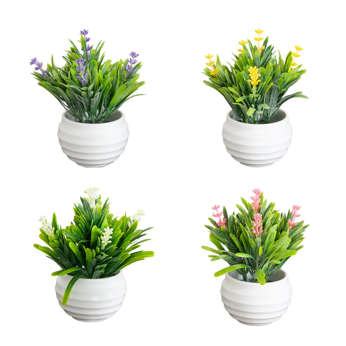 a group of potted plants
