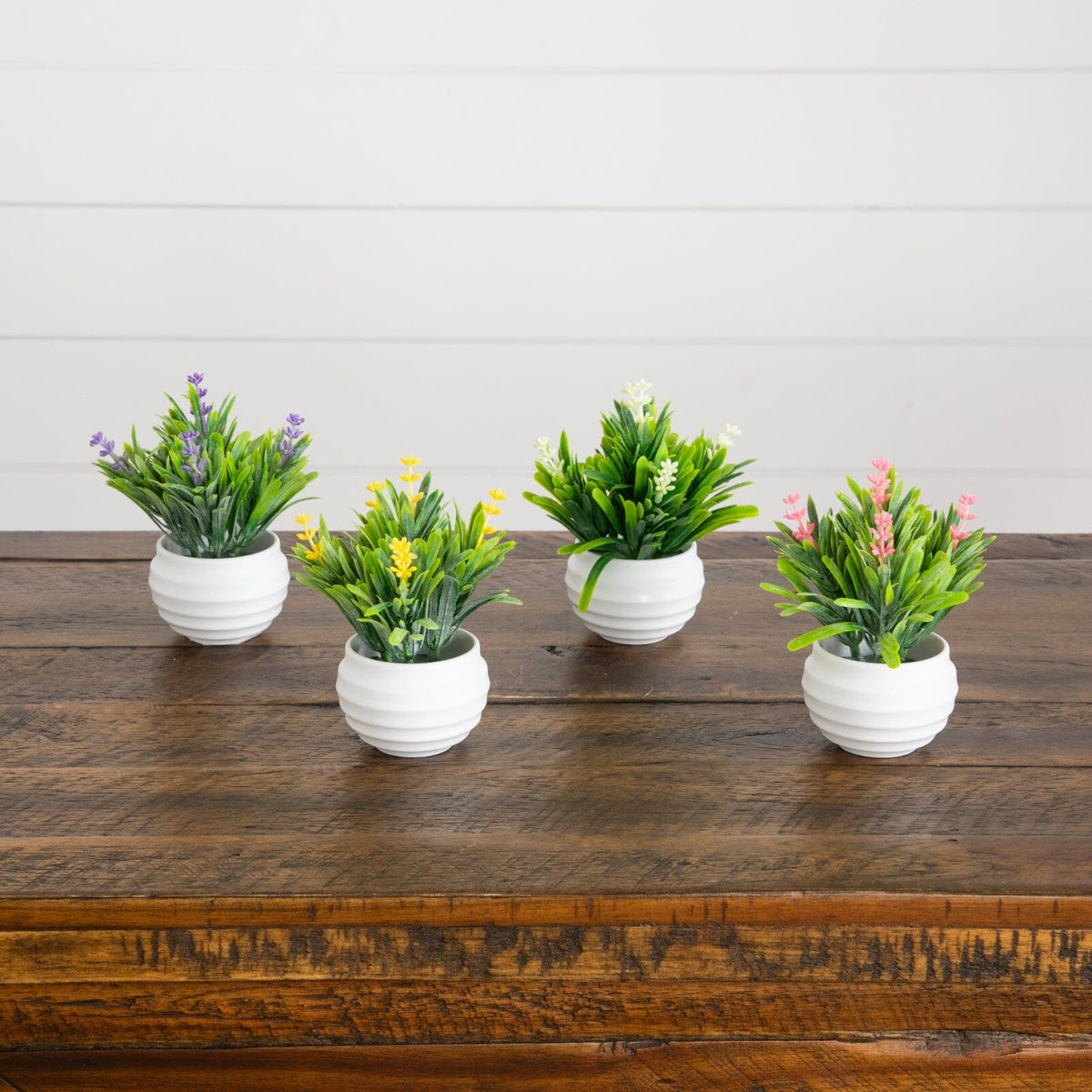 a group of small white pots with flowers on a wooden surface
