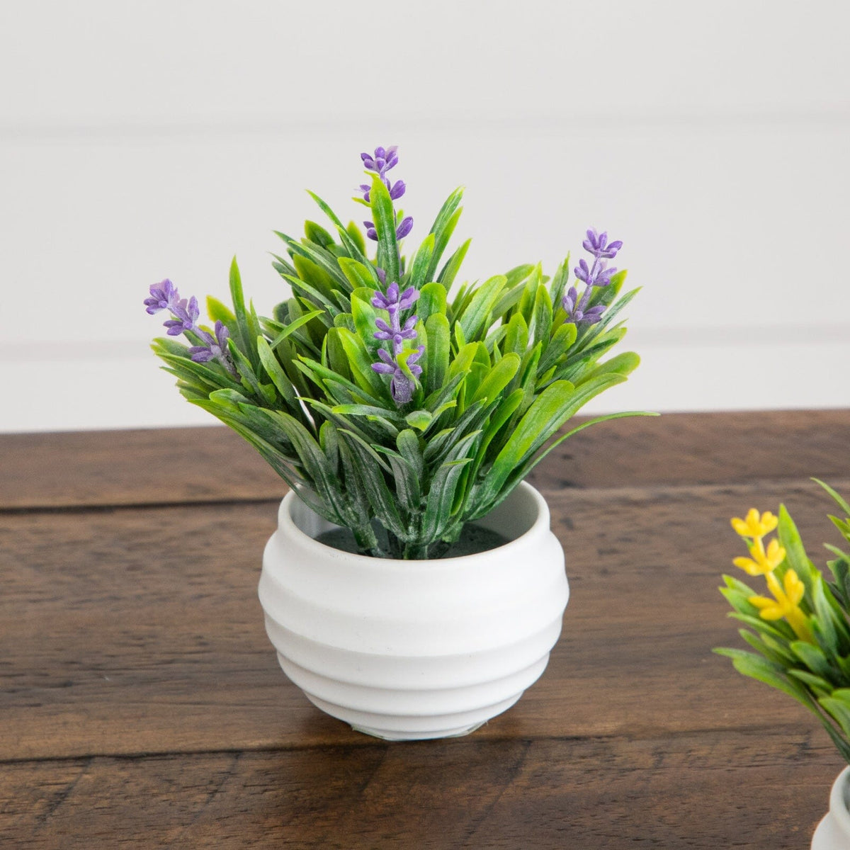 a potted plant with purple flowers