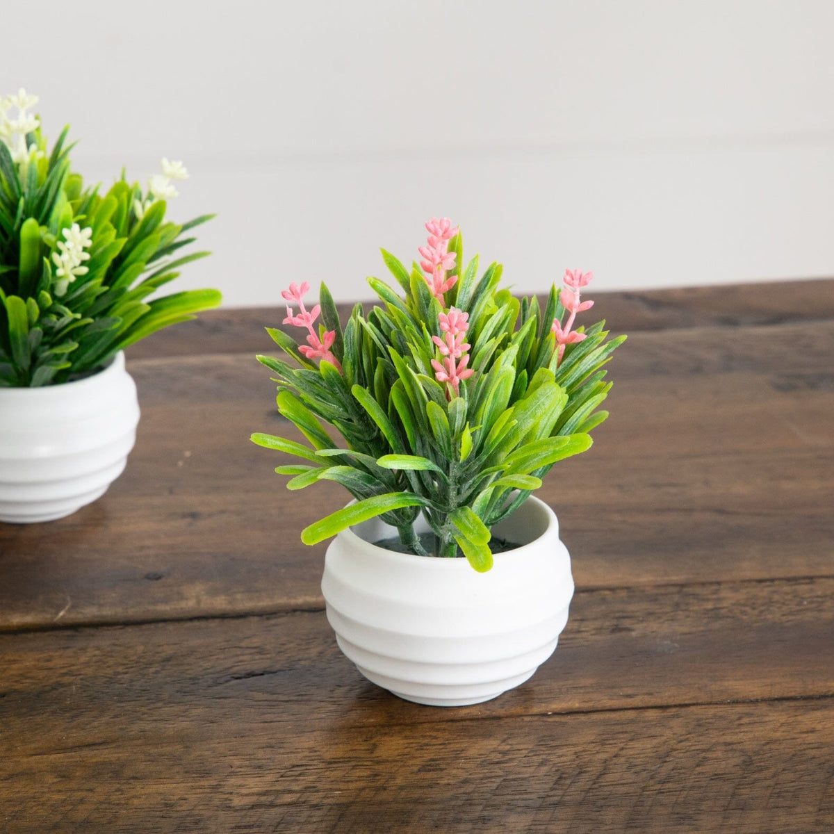 a two small white pots with green leaves